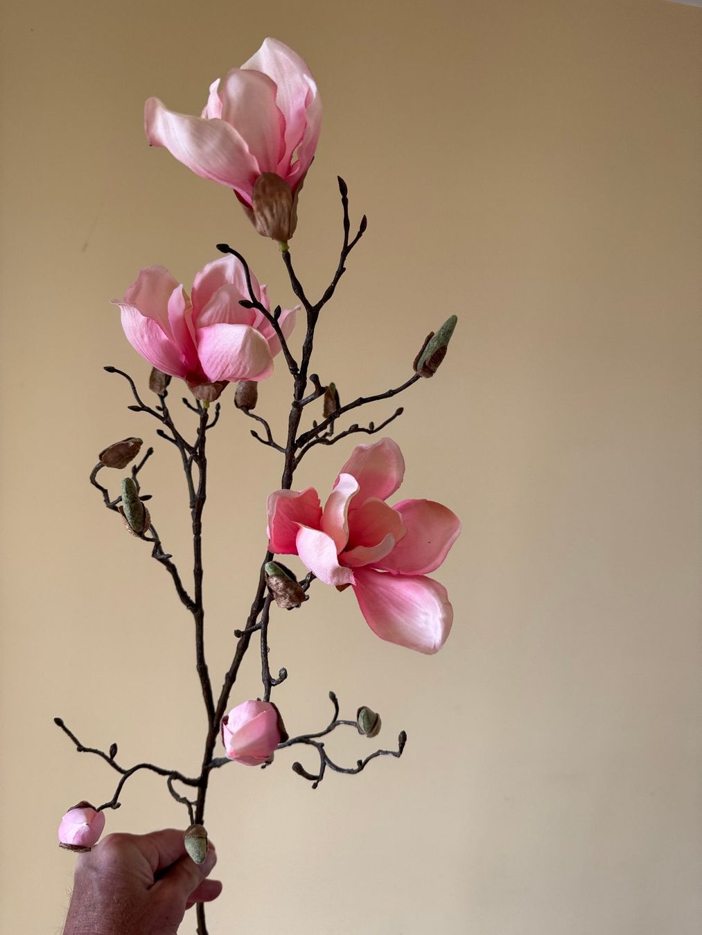 Tutte le decorazioni: Plastikblume (Dekoration) – Usato da Stäfa venduto da koopjesnu 4