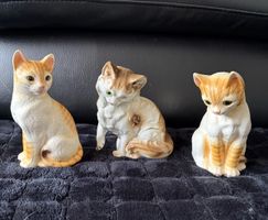 Drei Katzen