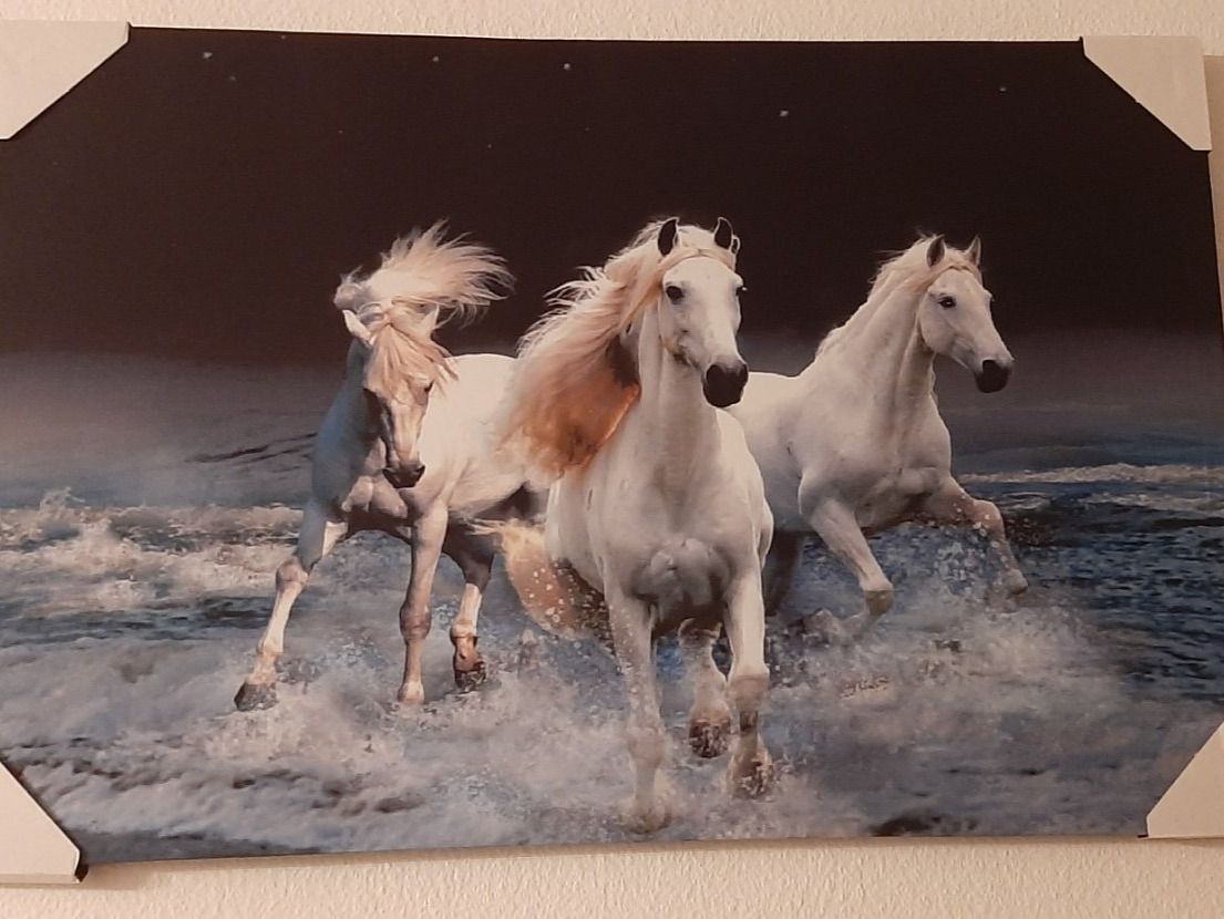Poster & Bilder: LED Art The with horses Kunstbild gross – Neu und originalverpackt aus Kilchberg ZH von ruedi34