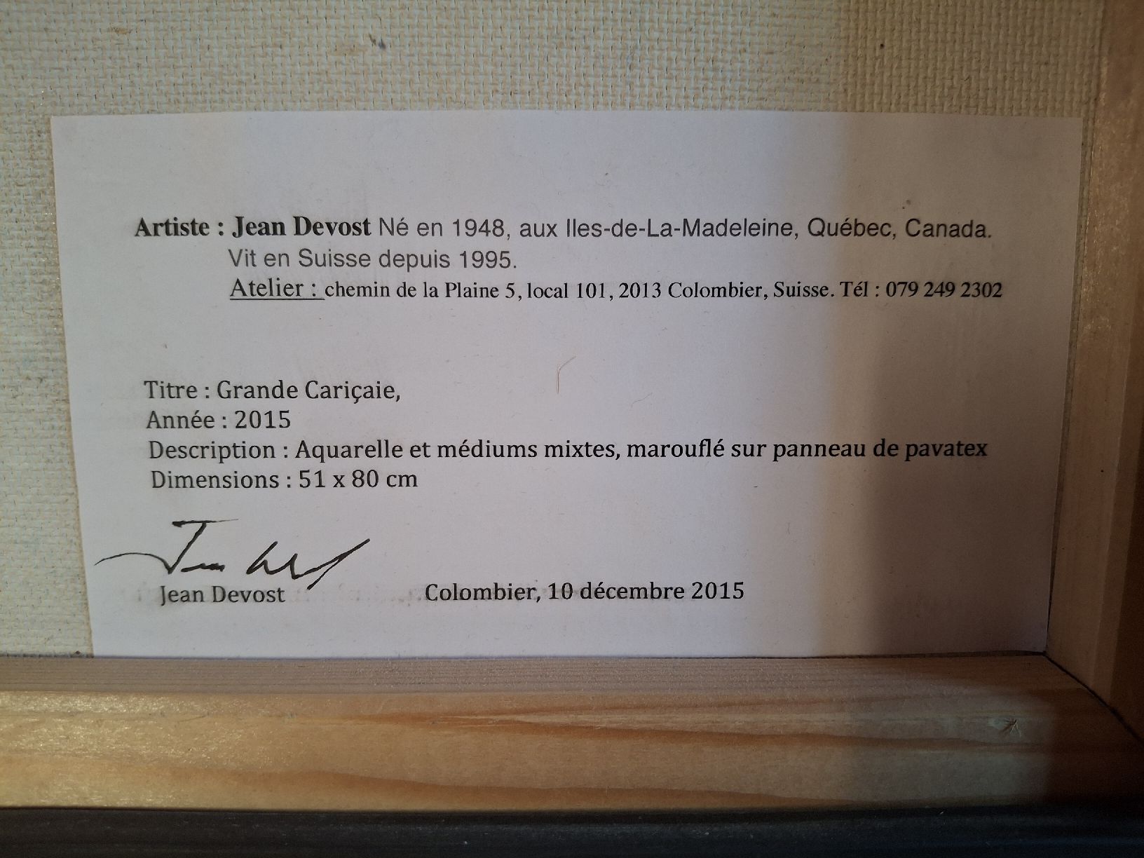Gemälde: Tableau Grande Cariçaie Jean Devost – Gebraucht aus Yverdon-les-Bains von beth6700 2