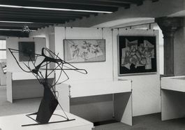 Pressefoto, Ausstellung Walter Bodmer, St. Gallen, 10x15 cm
