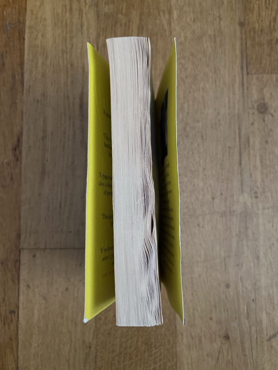 Libri: Celeste Ng: everything i never told you – Usato da Basel venduto da Buechermensch 1