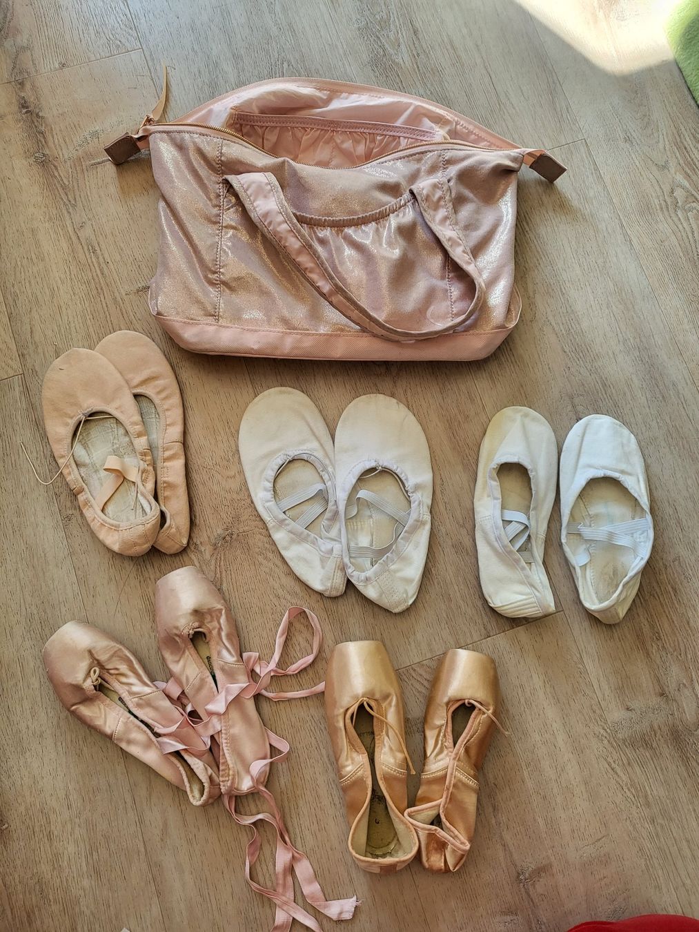 Scarpe per ragazze: Ballett Schuhe Set mit Tasche, Grösse 35. – Usato da Delémont venduto da mvl_l76c
