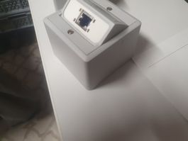 AP 1x RJ45 Feller Schrägauslas Feller UKV EDV Dose C6 Modul