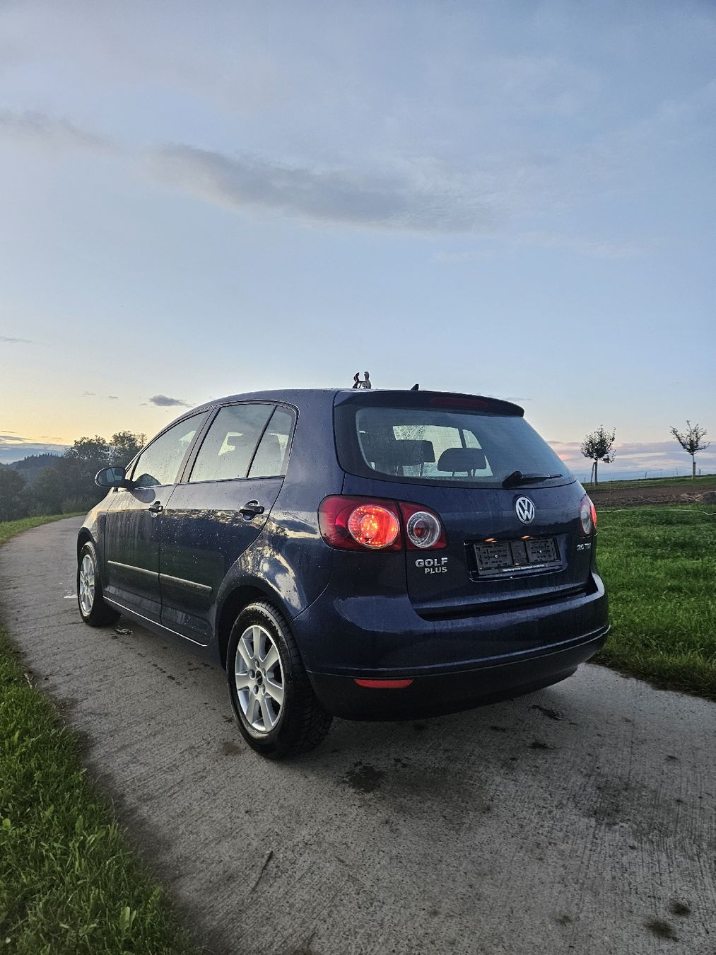 VW Automobili: VW Golf Plus 2.0 TDI – Usato da Hergiswil LU venduto da jul_mw58 3