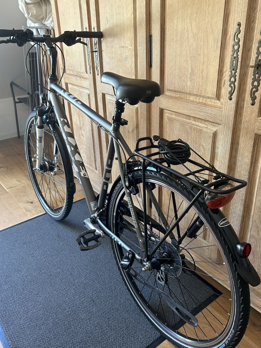 Rixe Biciclette: Herren City Fahrrad  – Usato da Zufikon venduto da Michu11 3