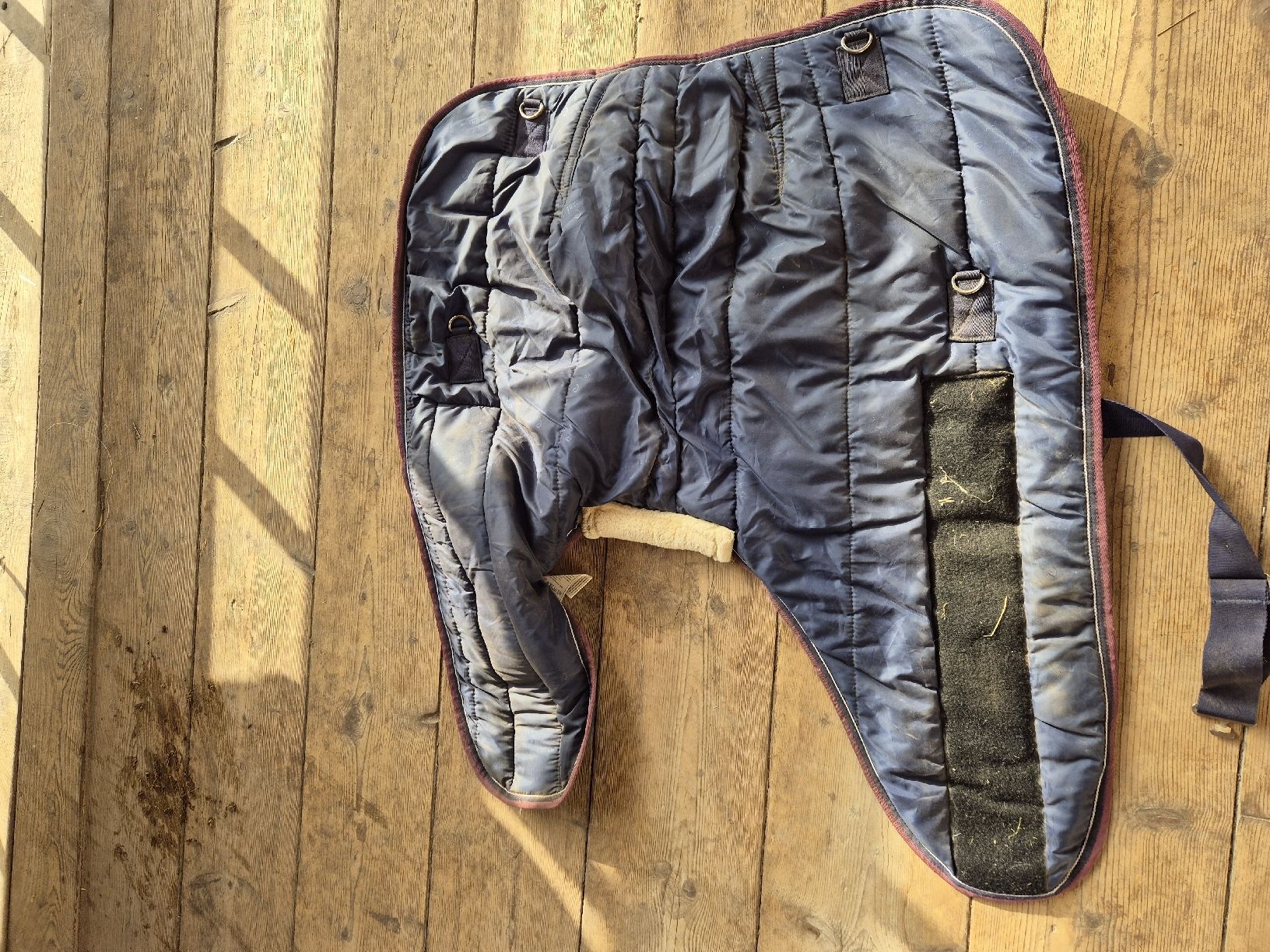 Coperte: Mini Shetty / Fohlen Decke – Usato da Meggen venduto da Orrinka20 2