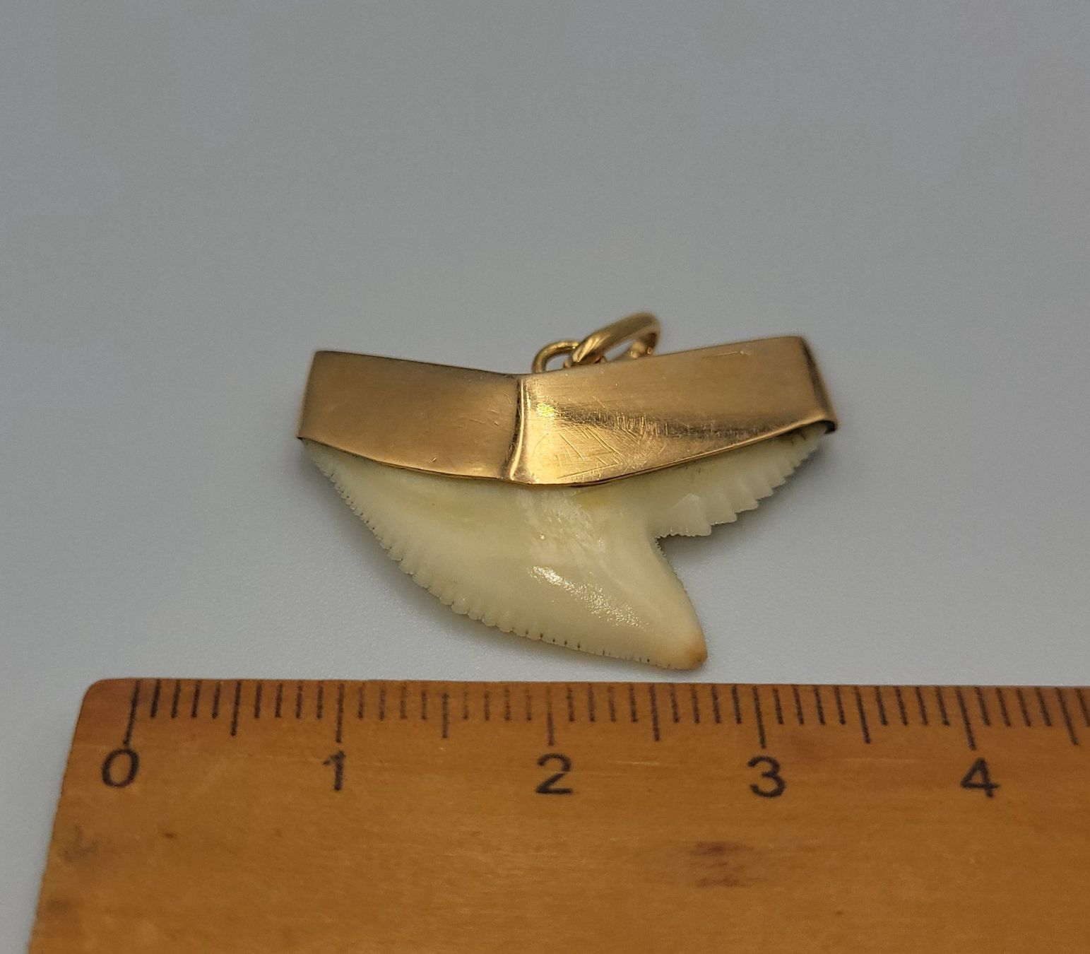 Anhänger: Gold 585 Haizahn Anhänger – Gebraucht aus Wald ZH von Dasilver