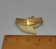 Gold 585 Haizahn Anhänger