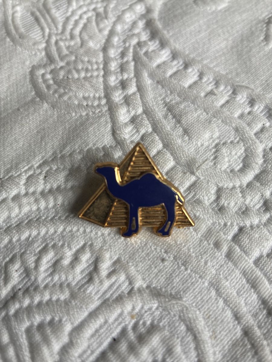 Placchette & Badge: Ägypten Pins Sammlung, 9 Stück, Kamel, Pyramiden – Usato da Ebnat-Kappel venduto da ponyhales 4