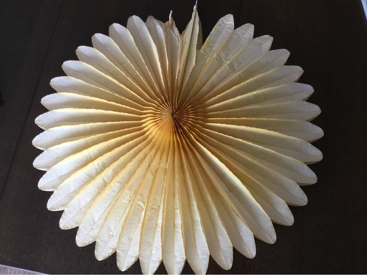 Tutte le decorazioni: Dekoblumen aus Seidenpapier – Usato da Uitikon-Waldegg venduto da Dmelchionna