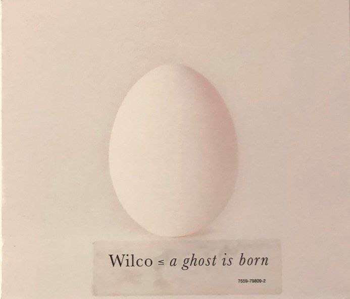 CD: Wilco - A ghost is born – Usato da Grüningen venduto da azulverde