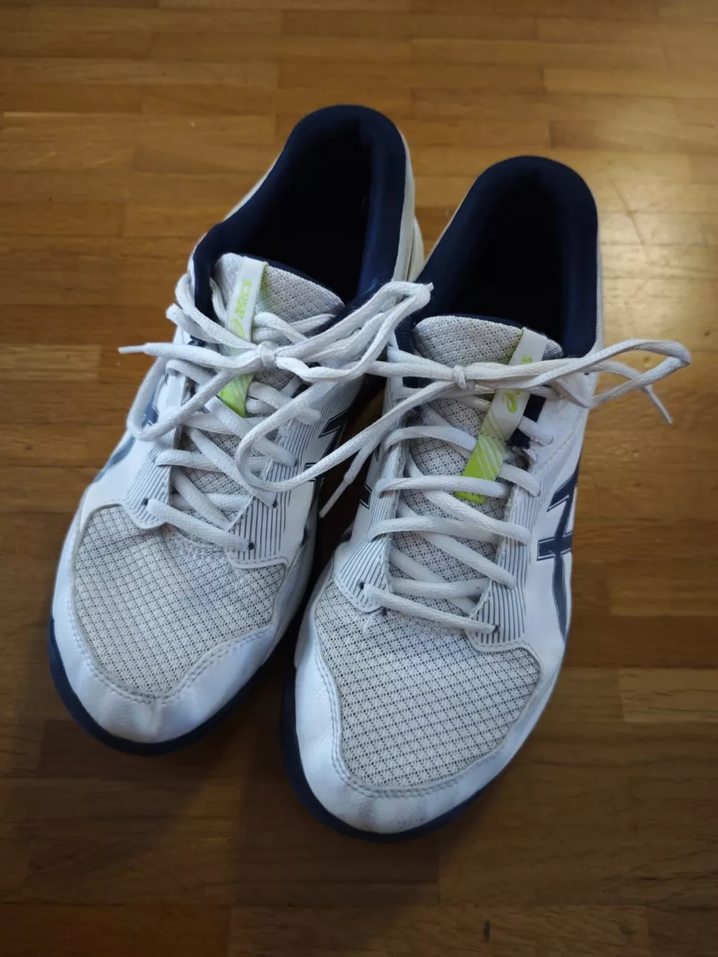 Asics Scarpe per ragazzi: Asics Gel Task MT4, Grösse 40.5 – Usato da Adligenswil venduto da sasa_be