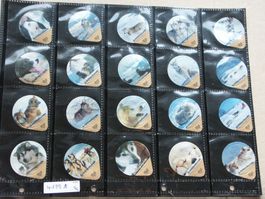 Serie    4133  A            Schlittenhunde            Gastro