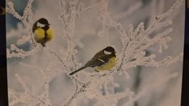Grusskarte Schnee Winter Vögel