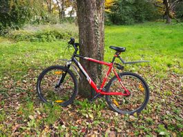 Diamondback Velo Fahrrad sehr guter Zustand
