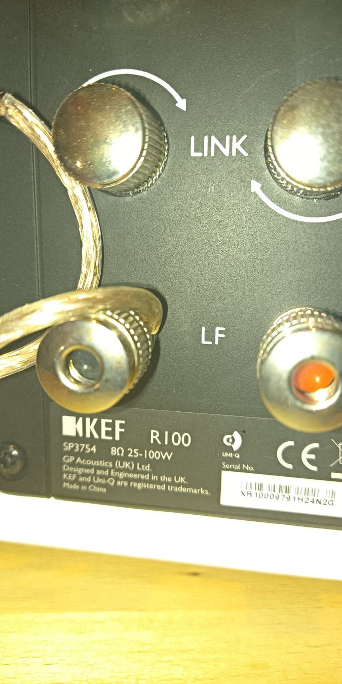 Kef Casse acustiche: KEF R 100 – Usato da Mittelhäusern venduto da Steigerer3 2