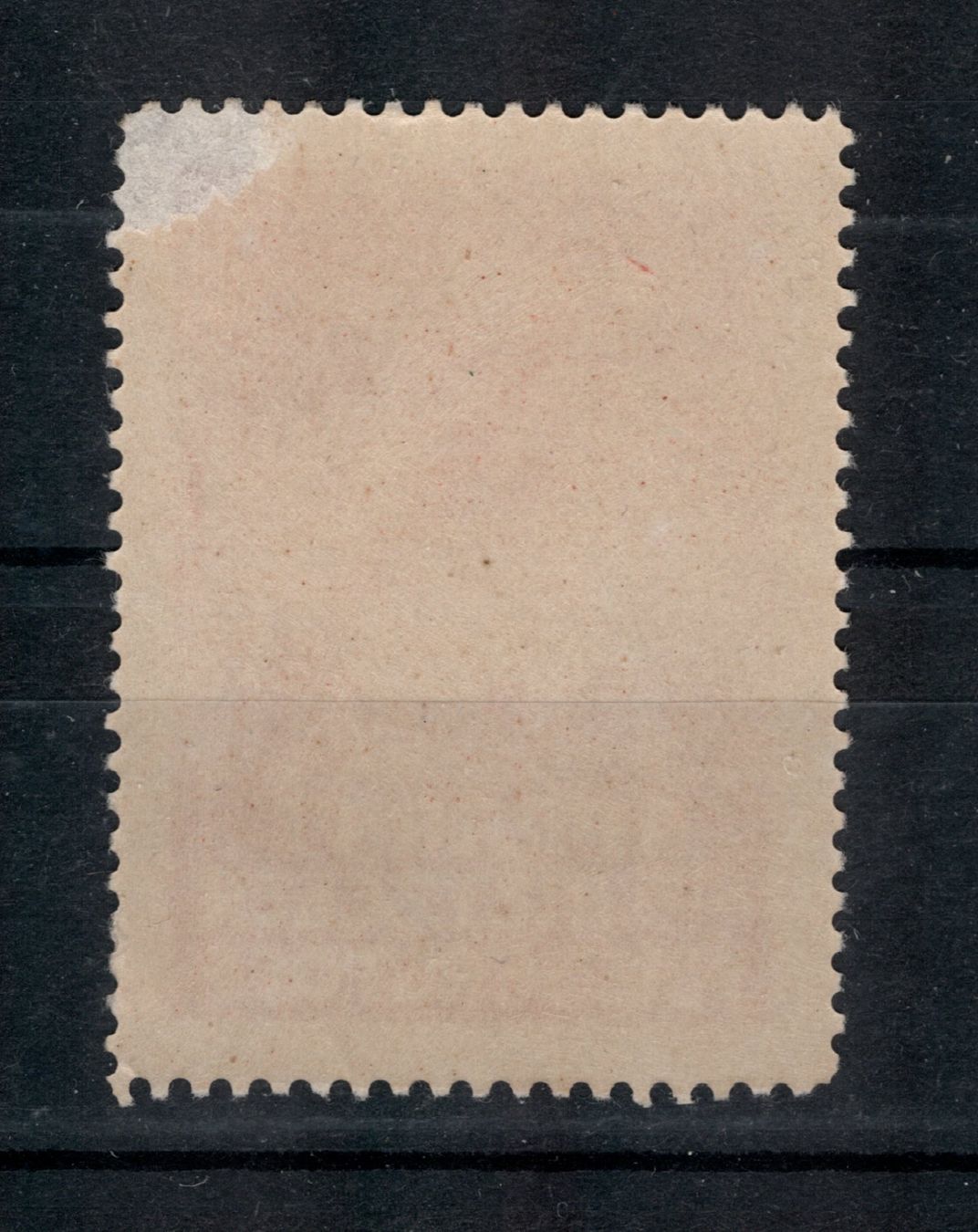 Tutti i francobolli: Metzeler Vignette FLIEGERSTOFF Hans Grade – Nuovo (secondo la descrizione) da Uesslingen venduto da WHALESTAMPS 1