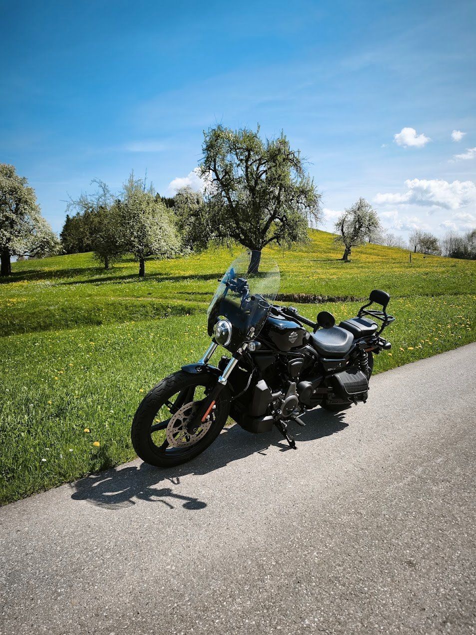 Harley-Davidson Altro: Harley Davidson RH 975 – Nuovo (secondo la descrizione) da Luetisburg venduto da Cowo 3
