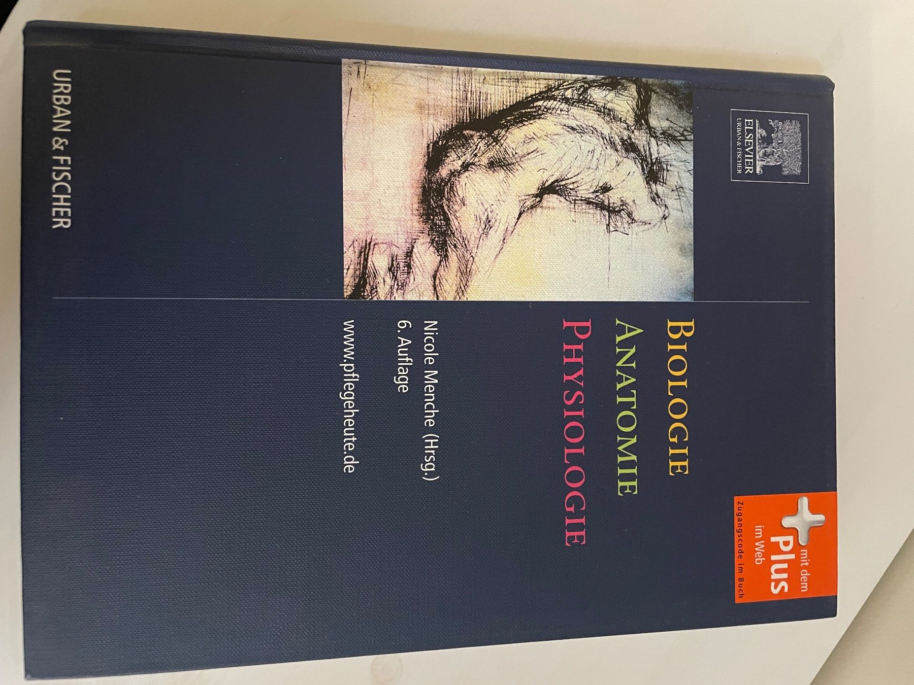 Libri: Buch – Usato da St.Gallen venduto da nat_7n75