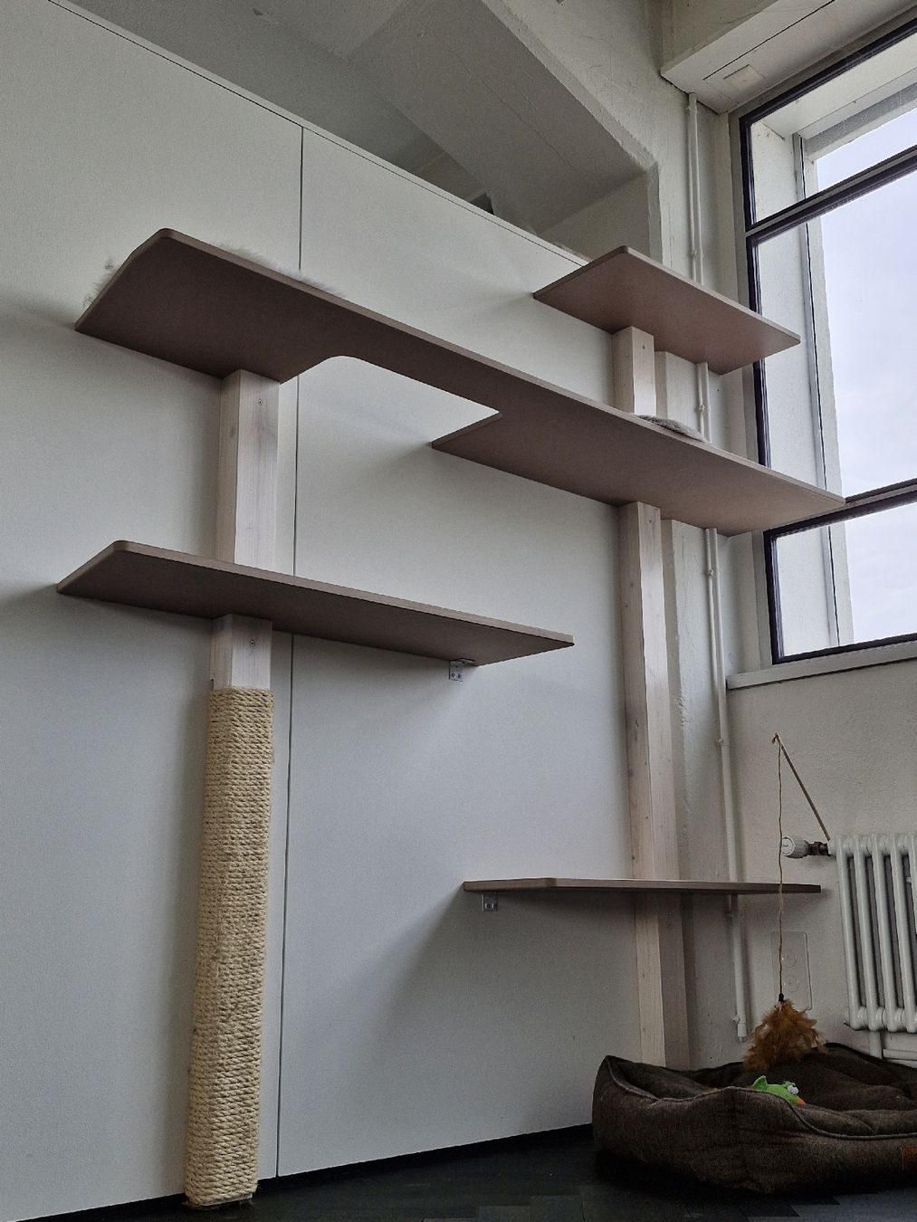 Tiragraffi: Design Katzenbaum Kratzbaum Katzenregal – Usato da Uster venduto da roemib