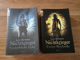 Nachtkrieger von Lisa Hendrix