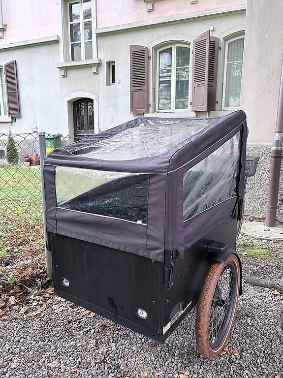 Biciclette: E-Cargo Lastenrad Cargobike mit Transportbox – Usato da Bern venduto da noasn 2