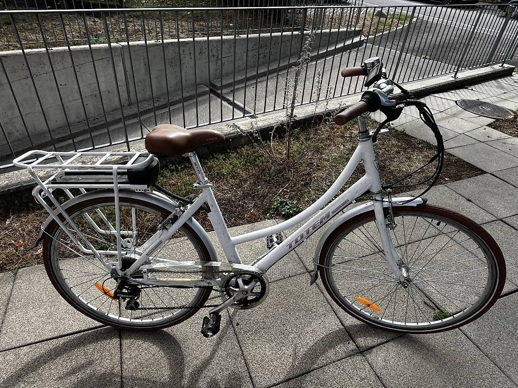 Mini Bikes: Electric bicycle  – Gebraucht aus Arlesheim von jud_k2lz