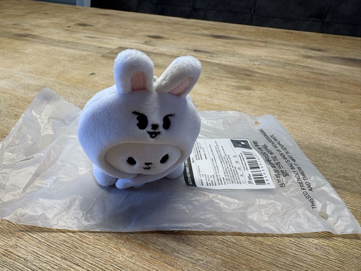 Giocattoli: Stray Kids Skzoo keyring lying ver. Leebit – Nuovo (secondo la descrizione) da Therwil venduto da nin_n9zp 1