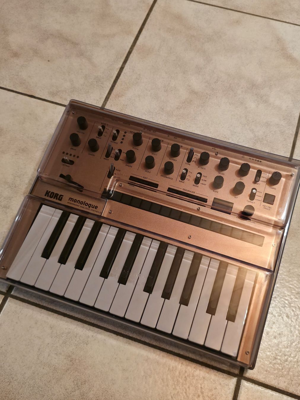 Korg Musikinstrumente: Korg Monologue Gold – Gebraucht aus Freidorf TG von NicotheVotta 1