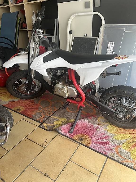 Mini Bike: Moto mini 110cc – Usato da Gorduno venduto da cen_9p27