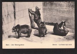 #Bern , der Bärengraben , gel. 1917