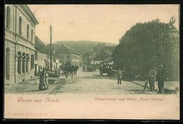 Aesch /BL, Hauptstrasse und Hotel Zum Oc