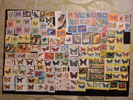 Schmetterlinge Briefmarken: schöne grosse Sammlung
