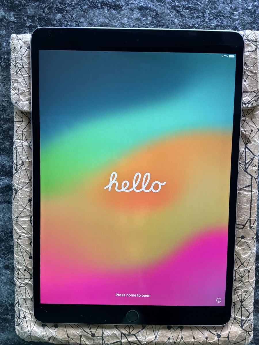 Apple Tablet PC: iPad Pro 1. Generation, 256GB, silber inkl. Apple Pencil – Usato da Bremgarten AG venduto da Belana0 1