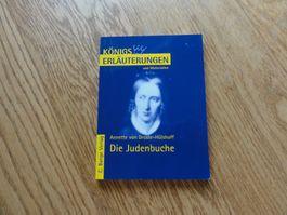 Die Räuber / Friedrich Schiller / Erläuterungen