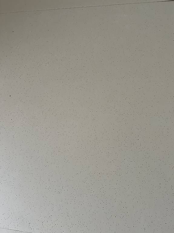 Rivestimenti per pavimenti: Marmoleum cocoa meringue 50m2 – Nuovo e nell'imballaggio originale da St-Imier venduto da voitz 4