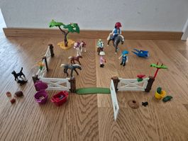 Playmobil Country