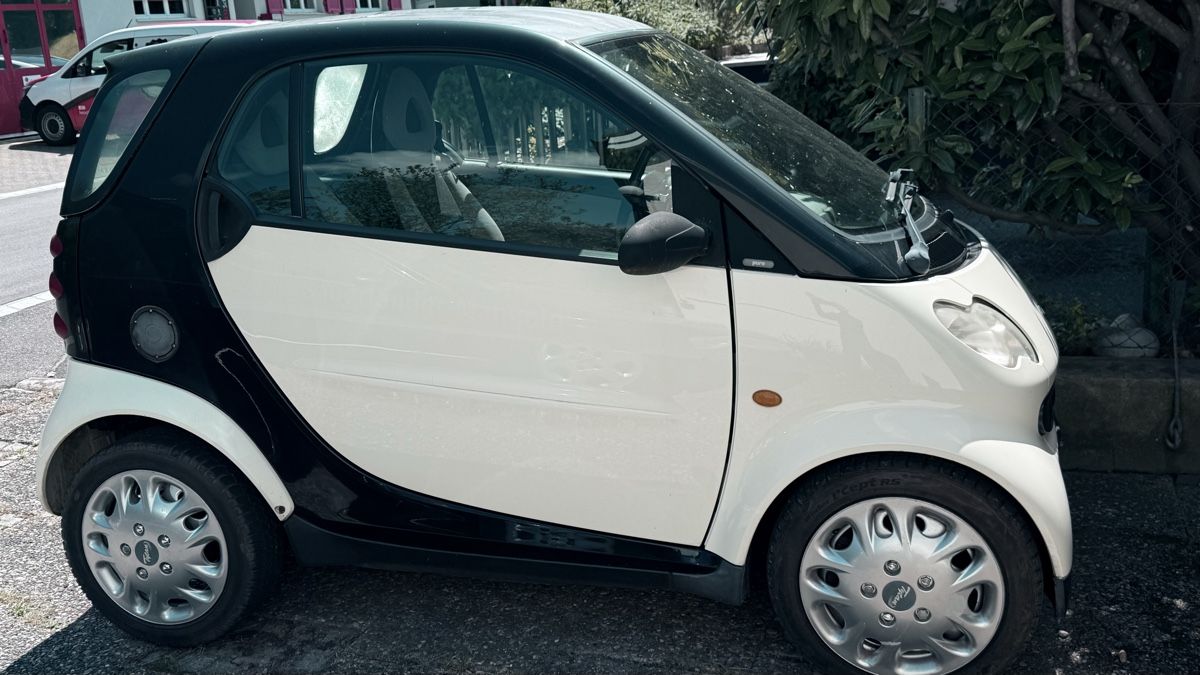 Smart Automobili: Smart Fortwo pure – Usato da Aarau venduto da Doms7