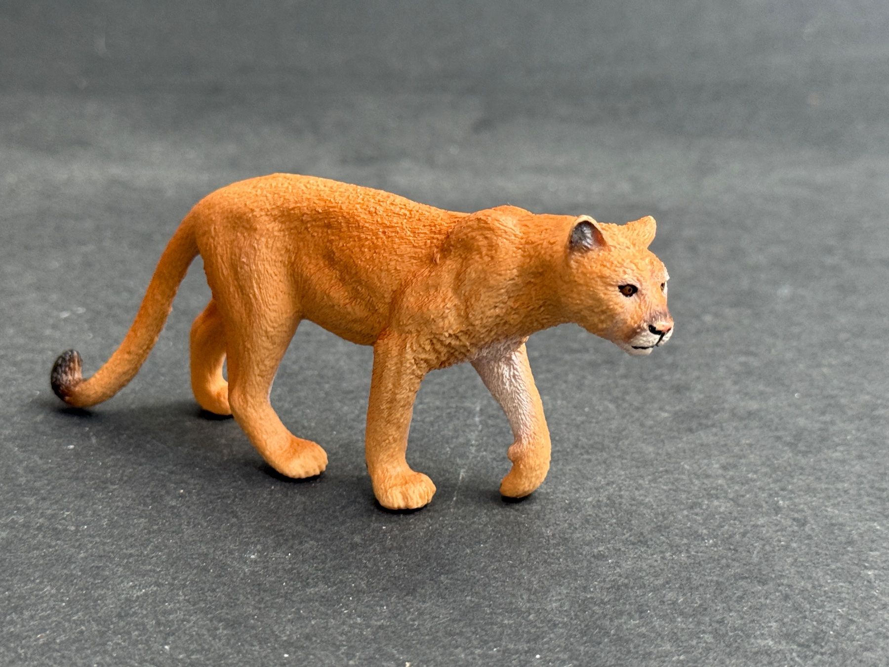 Schleich Statuette: Schleich Puma - wie neu – Nuovo (secondo la descrizione) da Ennetbaden venduto da mapa05 1