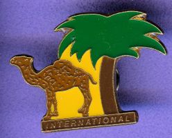 CAMEL   INTERNATIONAL