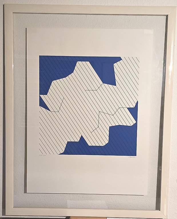 Grafica & Litografie: Lithos encadrées de Geneviève Claisse – Usato da Confignon venduto da morisbtz