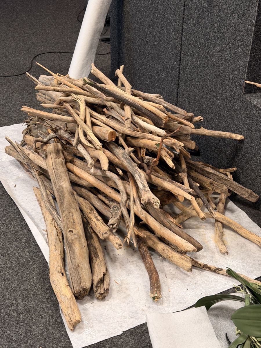 Tutte le decorazioni: Diverse Orchideen und Holz (dekomaterial)  – Usato da Küsnacht ZH venduto da Icon21 3
