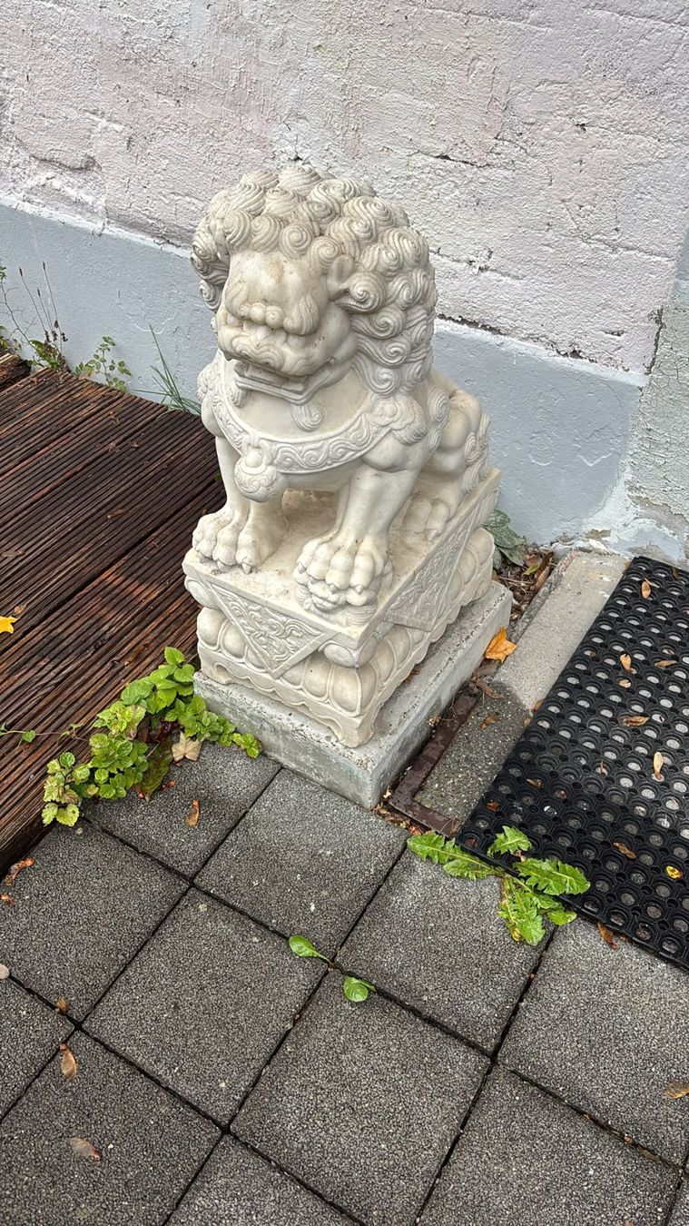 Skulpturen & Statuen: Asiatischer Wächterlöwe Steinfigur für Garten oder Eingang – Gebraucht aus Zürich von Korhal 3