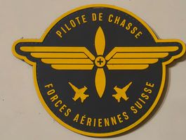 Luftwaffe Abzeichen Badge Pilote de chasse pvc Kle neu