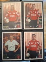 Pfadi Winterthur Handballteam Autogrammkarten 11x, original