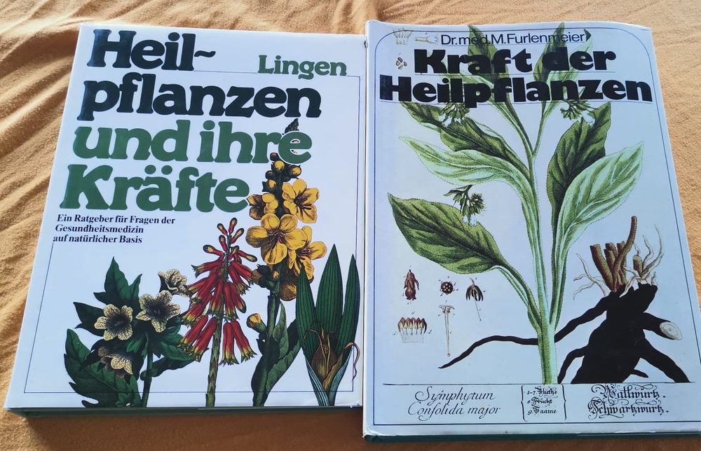 Die heilende Kraft der Pflanzen –  Kolumne von Irene Dalichow – 8er Bundle main image 0