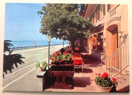 Hotel Bellevue, Alfermée-Tüscherz (Bielersee)