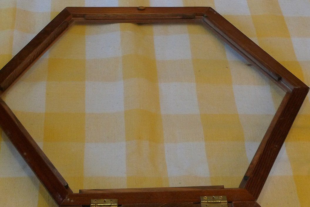 Scaffali: Setzkasten-(Sechseckig) – Usato da Bern venduto da bn1640 3