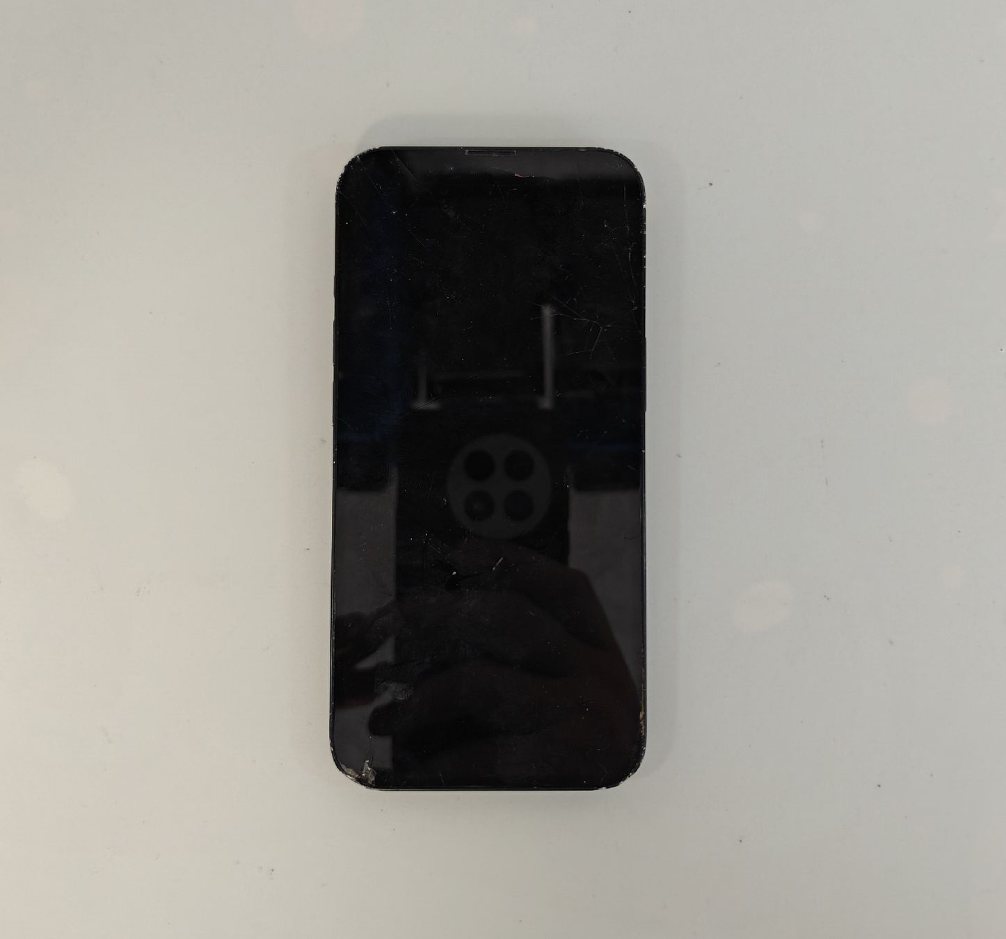 Apple Telefoni cellulari / Smartphones: iPhone 13 – Difettoso da Ehrendingen venduto da Rocky985